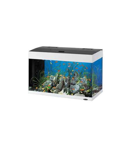 Acquario dubai bianco con - 80,