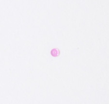 Citizen 33 61 62 93 part 944-30 Jewel NOS