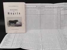 Bemerkungen über Angeln, aus