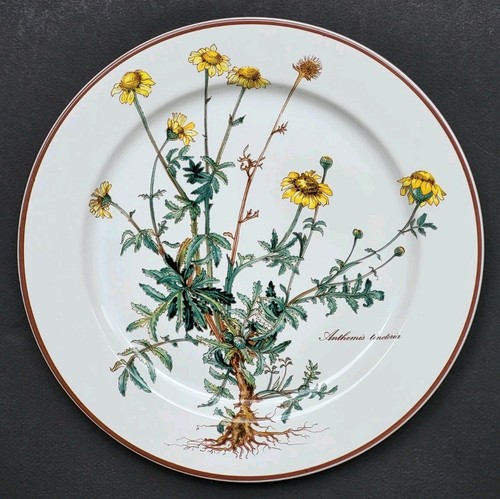Sublime assiette plate - sublime,