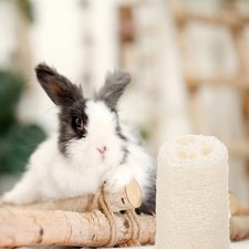 Loofah Giocattoli da Masticare