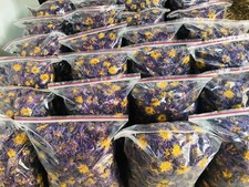 Tisana Secca Blue Lotus