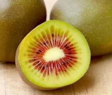 20 Semi di Kiwi Con Carne