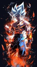 Quadro Dragon Ball Metallo