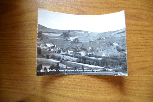 Cartolina alice belcolle - cartolina,