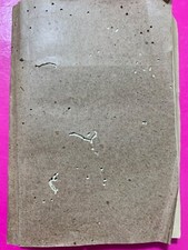 “I BORBONI DI NAPOLI AL