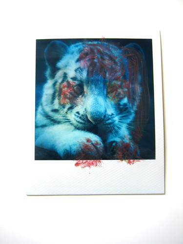 Araki polaroid originale - araki:,