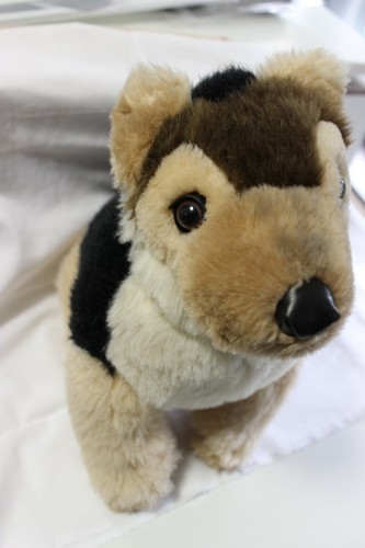 Peluche cane lupo - , dog