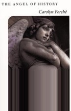 ANGEL HIST by Forche, Carolyn