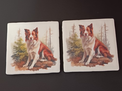 Sottobicchieri collie bordo - sottobicchieri,