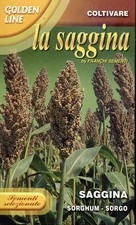 SEMI SAGGINA GR.100 FRANCHI