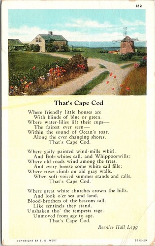 Thats cape cod poesia - poesia, bernice