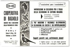 PUBBLICITA' 1966 COOPERATIVA DI BAGNOLO CACCIATORI CACCIA FORLI COTURNICE STARNE