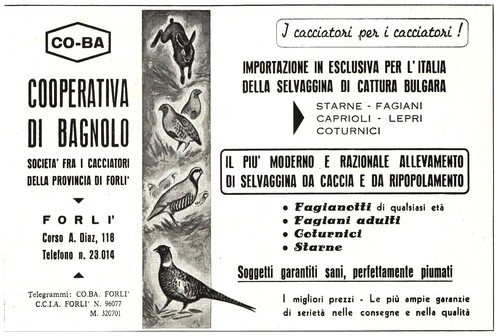 Pubblicita 1966 cooperativa - pubblicita',
