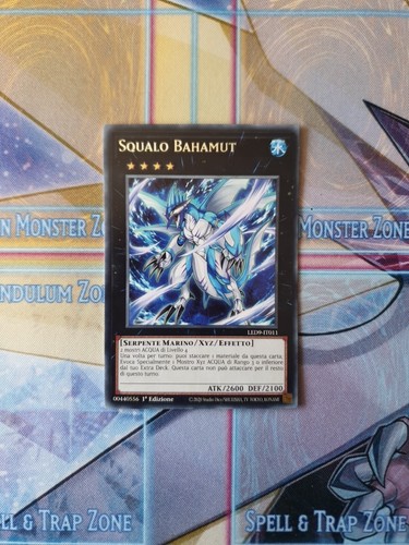 Squalo bahamut - squalo,