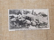 Il miracoloso terreno di