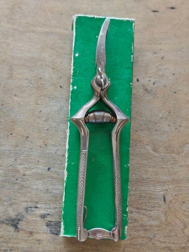 Pinza masticatore per alimenti - pinza,