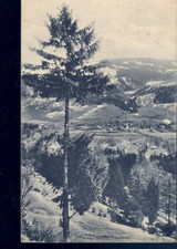 MIEDERS - STUBAITAL -Val Stubai- PANORAMA - V1929