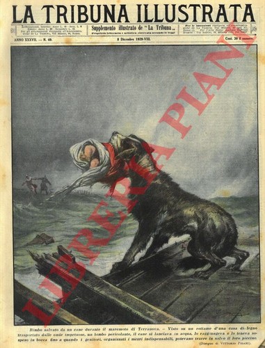 Pisani vittorio bimbo - pisani,