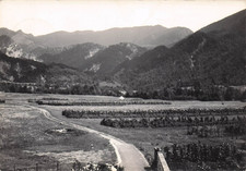 27-26B) CARTOLINA TRAMONTI SOTTO CAMPO TIRO VIAGGIATA UDINE