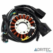 Alternatore statore - ✅,