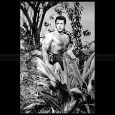 Photo F.022165 GORDON SCOTT