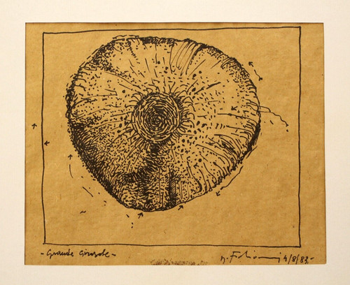 Mauro fabiani original ink - mauro, |