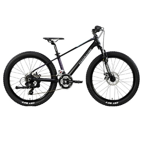Bici bicicletta mountabike - bici,
