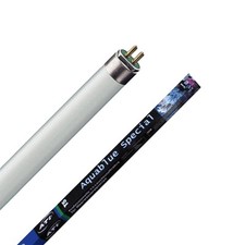 ATI AquaBlue Special Neon T5