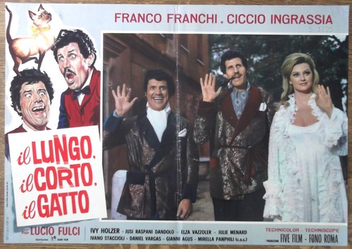 Lungo corto il gatto - il,