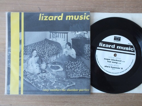 Lizard music cozy - music,