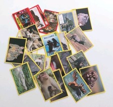 LOTTO 35 Figurine AMICI  CUCCIOLOTTI  2011 - PIZZARDI