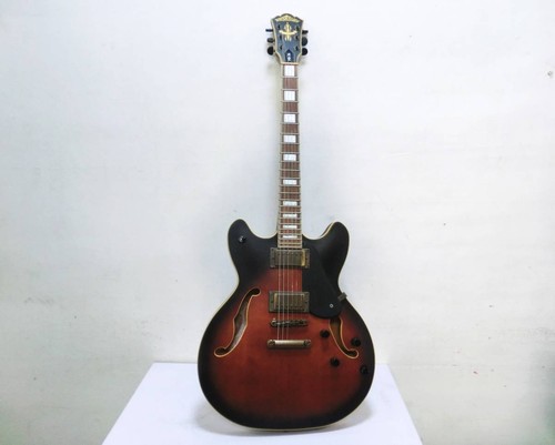 Chitarra elettrica acustica