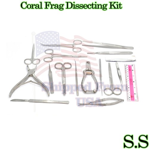 Kit set frag corallo - di,