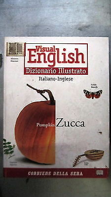 Visual english dizionario - visual,