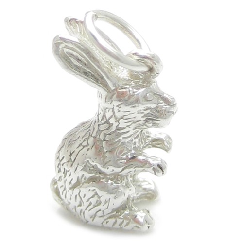 Ciondolo argento sterling - in,