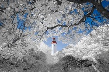 Samsung NX1000 20MP,full spectrum camera,fotocamera infrarossi,20-50mm,IR680