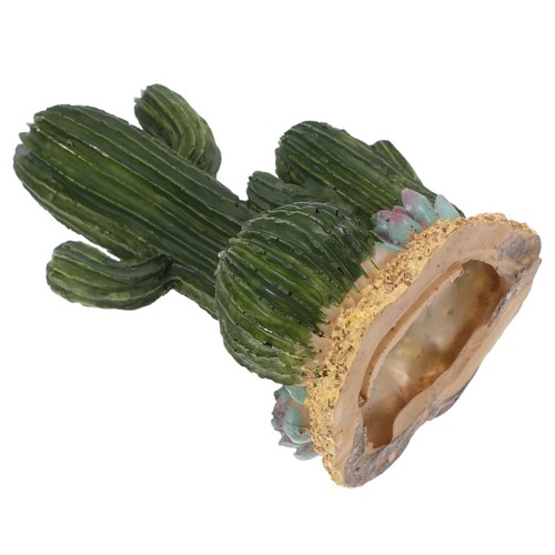 Pianta cactus finto in - di,
