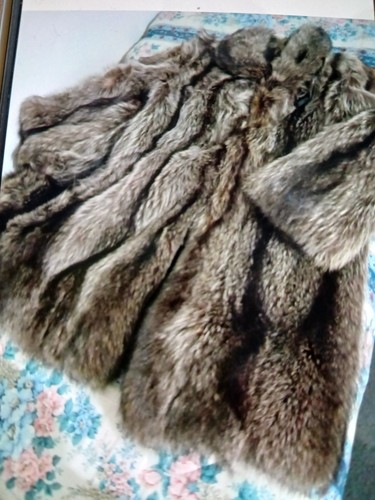 Pelliccia marmotta come - marmotta, nuova