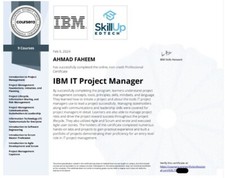 Help IBM IT Project Manager