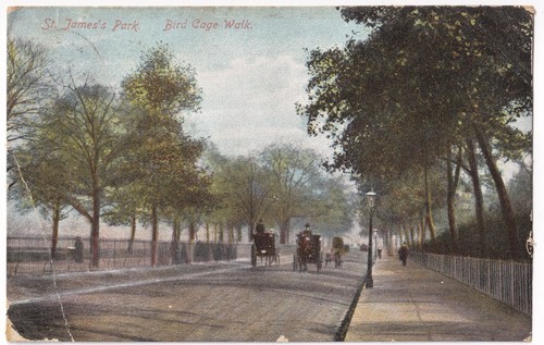 James park bird cage - james's,
