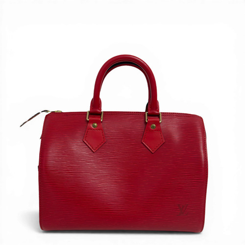 Louis vuitton epi - louis, speedy