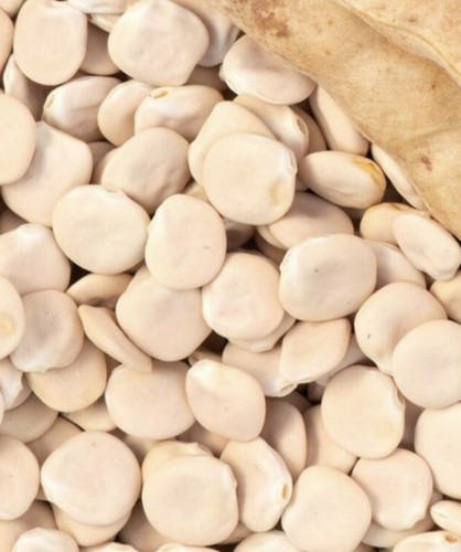 Lupini secchi salentini non - lupini,