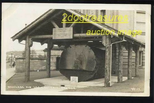 Rppc douglas abete log - abete,