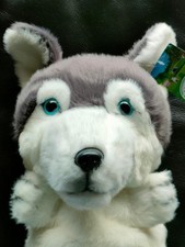 Scott Edward Husky Copricapo