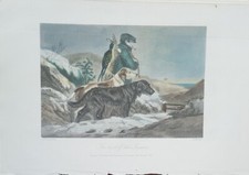 CANI incisione acquarellata a