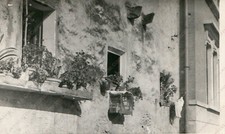 1955 BELLUNO Borgo Prà piante sui davanzali gabbietta uccelli Fotografia