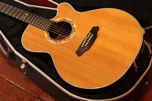 Chitarra elettrica acustica