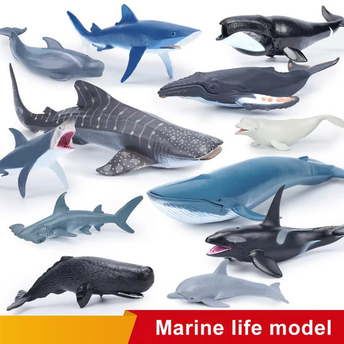 Statuine mammiferi marini - mammiferi,