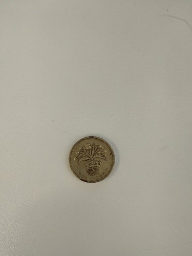 Pound moneta - pound,